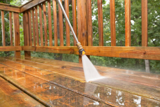 Pre-Holiday Cleaning in Annandale, MN